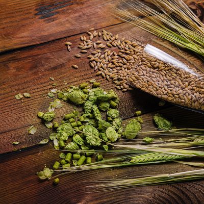 Hop and wheat on wooden background